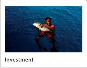 Investment of Solomon Islands